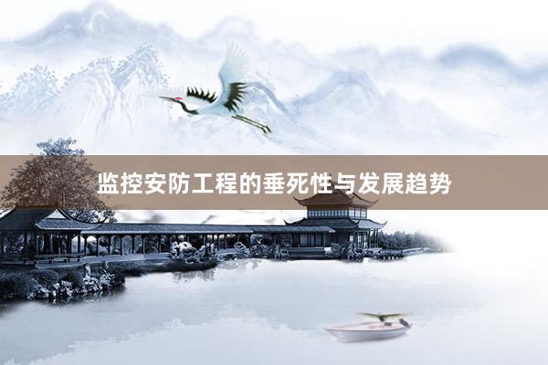 监控安防工程的垂死性与发展趋势